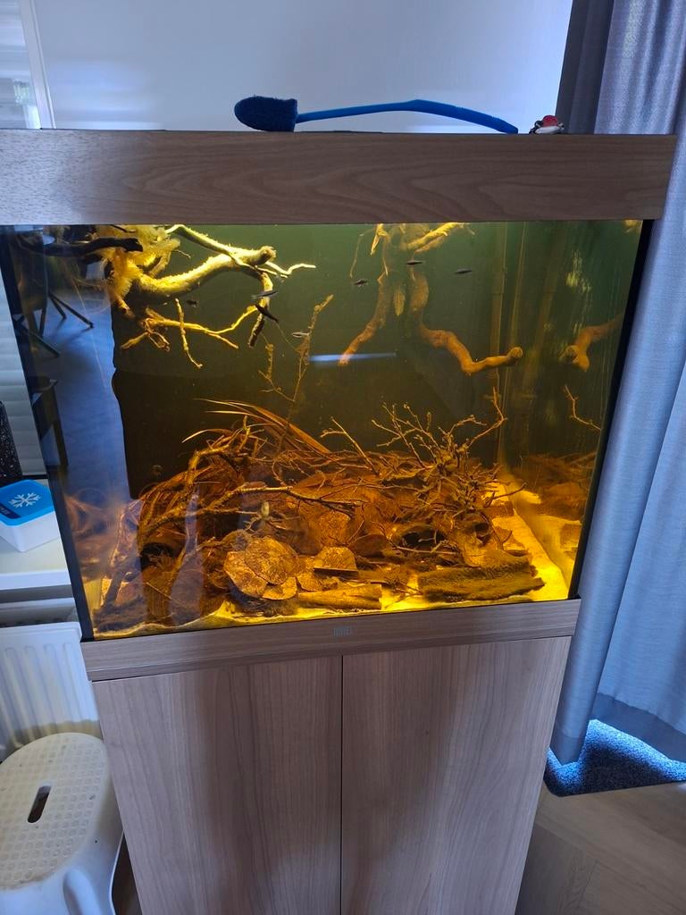 Juwel lido 200, Dieren en Toebehoren, Ophalen, Gebruikt, Inclusief vissen, Gevuld zoetwateraquarium
