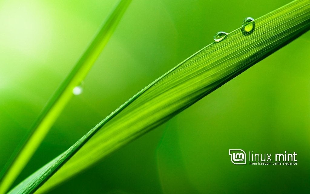 LinuxMint installatie - Utrecht, Computers en Software, Ophalen, Nieuw, MacOS