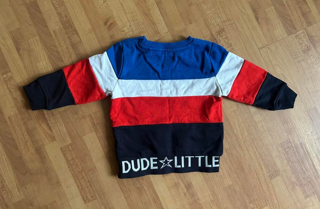 Sweater mt 80, Ophalen of Verzenden, Zo goed als nieuw, Jongetje of Meisje, Truitje of Vestje