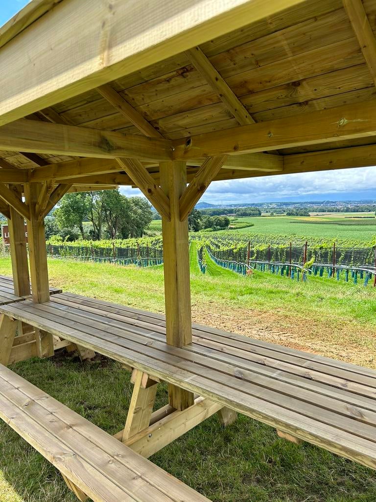 Tuintafel met afdak Picknicktafel met overkapping, Ophalen of Verzenden, Nieuw, Vierkant, Hout