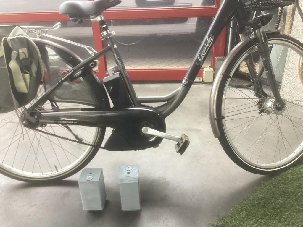 accu voor pegido el fiets, Ophalen of Verzenden