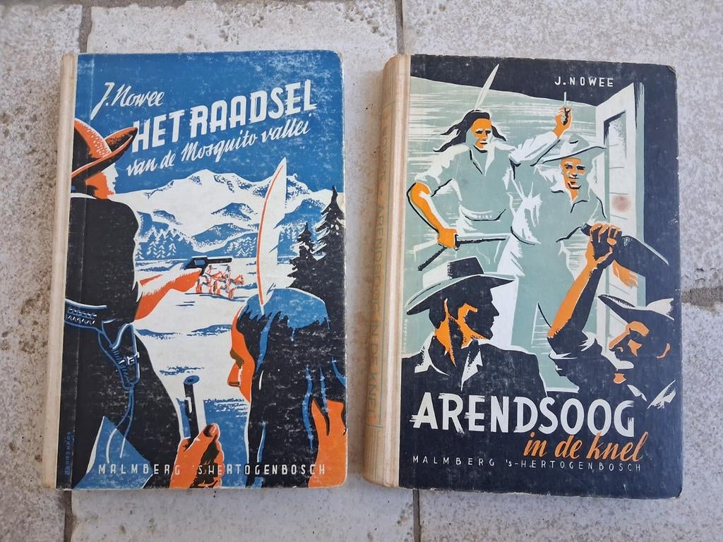 Oude arendsoog J. Nowee - Arendsoog & Het Raadsel, Boeken, Ophalen of Verzenden, Gelezen, J. Nowee