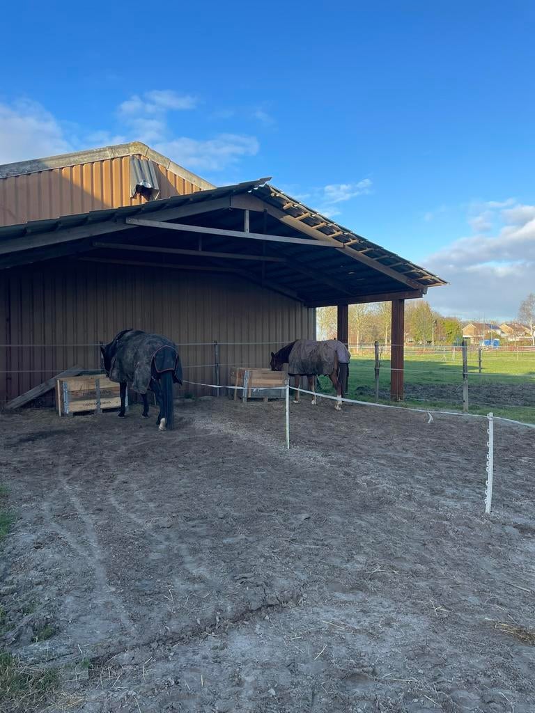 Hooiruif - hooibak - slowfeeder, Dieren en Toebehoren, Stalling en Weidegang, Opfok, Stalling, Weidegang, Toebehoren, 1 paard of pony