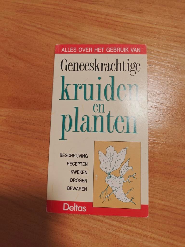 Tyberg - Alles over gebruik geneeskrachtige kruid, Ophalen of Verzenden, Zo goed als nieuw, Tyberg, Azië en Oosters