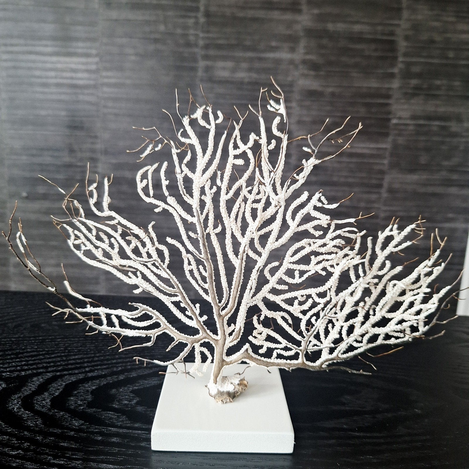 Prachtig creme kleurig ornament waaier tak op voet, Nieuw, Ophalen of Verzenden, X, X