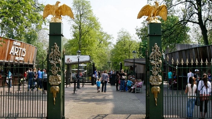 Artis toegangskaart (4x) Geldig tm 04-2027, Drie personen of meer, Ticket of Toegangskaart