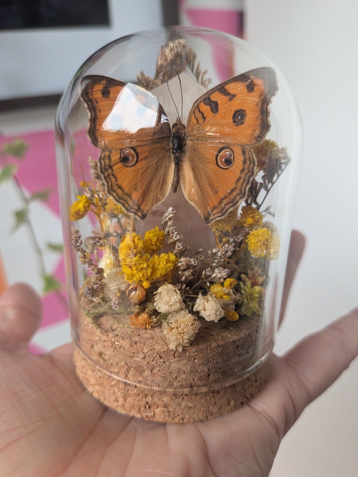 Unieke vlinder in glazen stolp gedroogde bloemen edelsteen, Ophalen of Verzenden, Nieuw