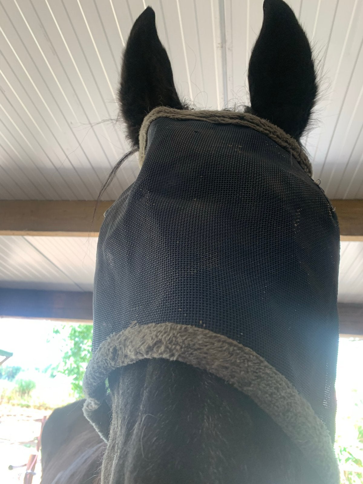 Vliegenmasker paard, Dieren en Toebehoren, Paarden en Pony's | Overige Paardenspullen, Ophalen, Gebruikt