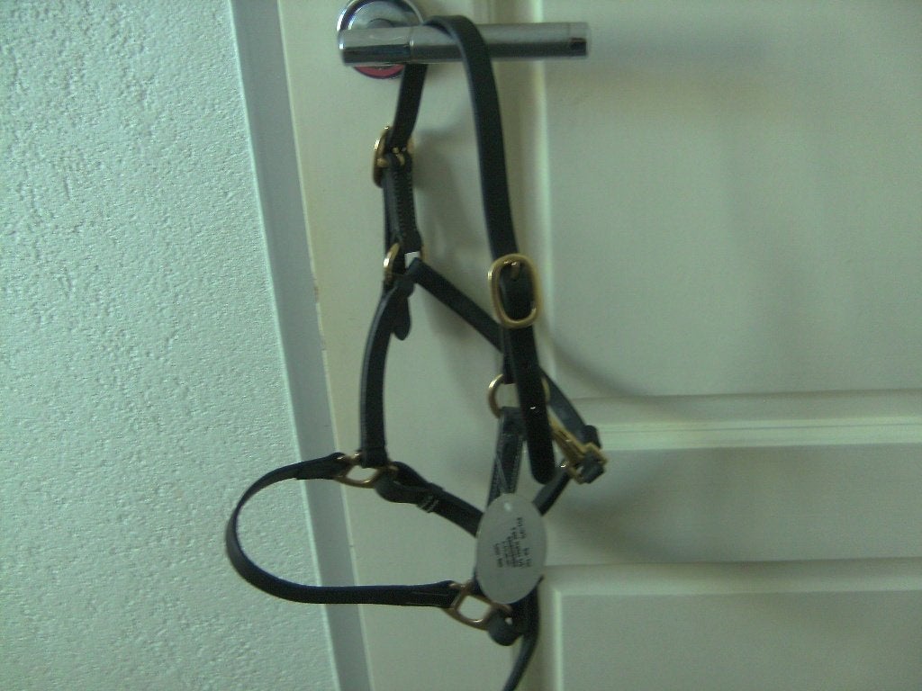 leren halster mini, Dieren en Toebehoren, Ophalen, Overige disciplines, Handgemaakt, Bruin
