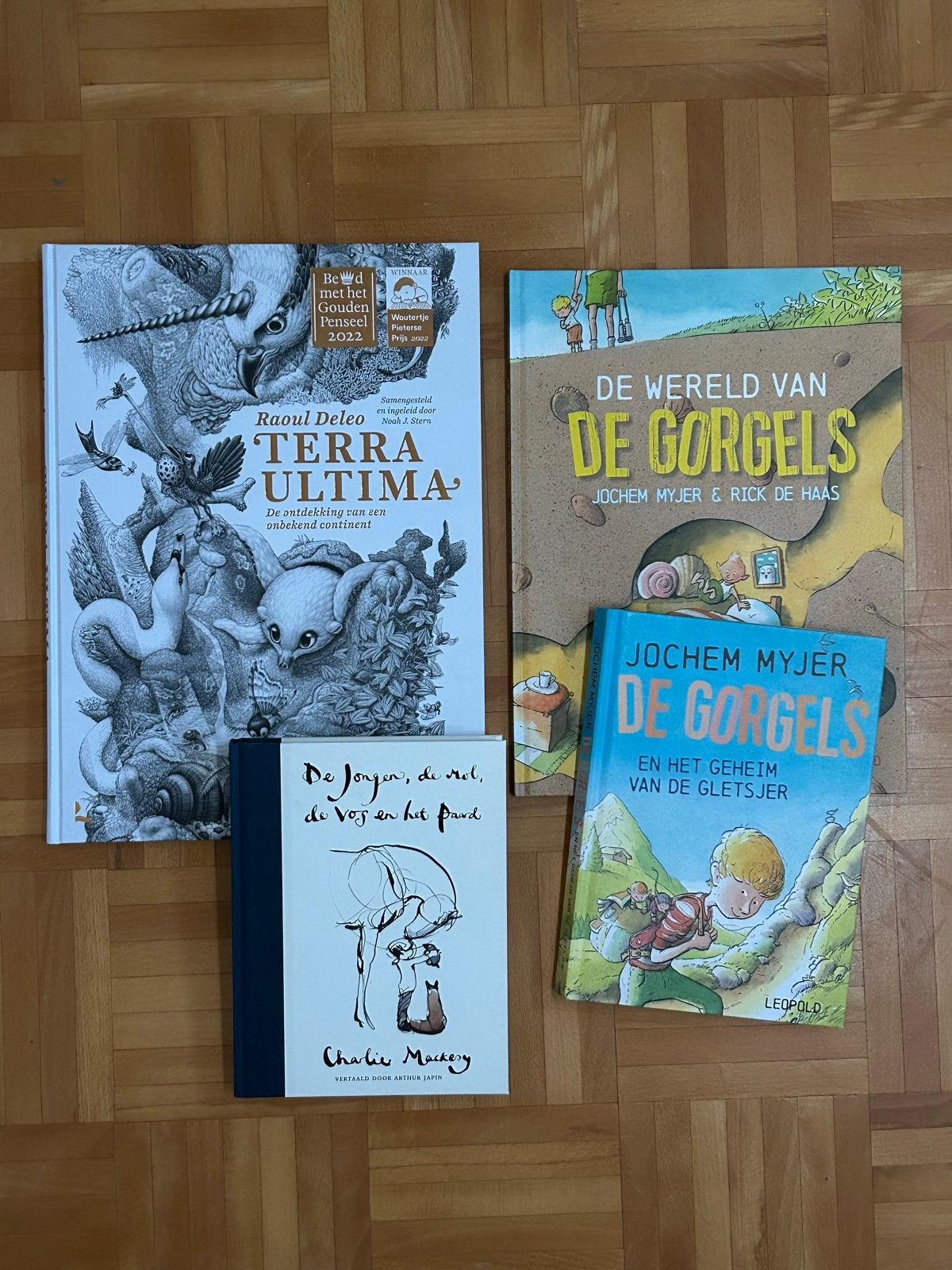 Kinderboeken:Gorgels, De Jongen, de Mol, de Vos en het paard, Ophalen of Verzenden, Zo goed als nieuw, Fictie algemeen