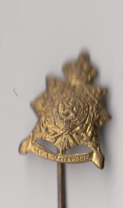 Korps Mariniers embleem A speldje, Verzamelen, Niet vindbaar, Niet vindbaar, Marine, Nederland