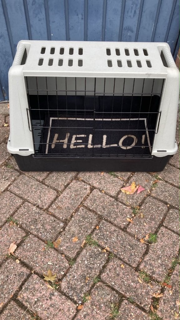 2 autobenches en loopplank, Ophalen, Zo goed als nieuw