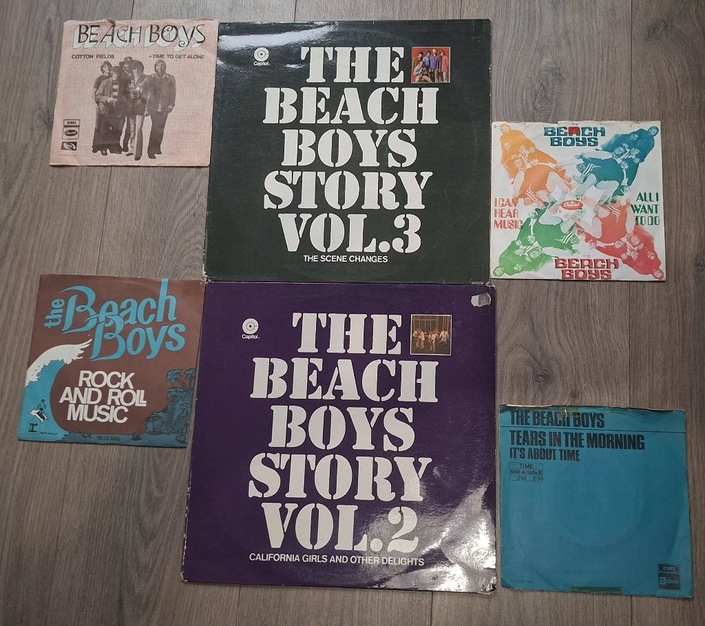 The Beach Boys, Ophalen of Verzenden, Zo goed als nieuw, Pop