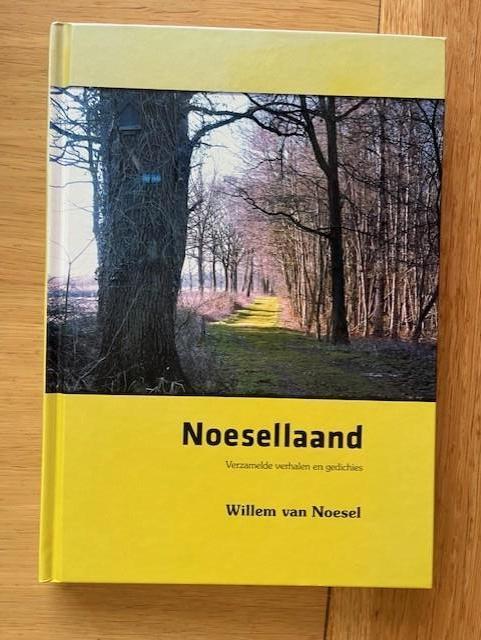 Twente / Nijverdal / Noesellaand, Ophalen of Verzenden, Zo goed als nieuw