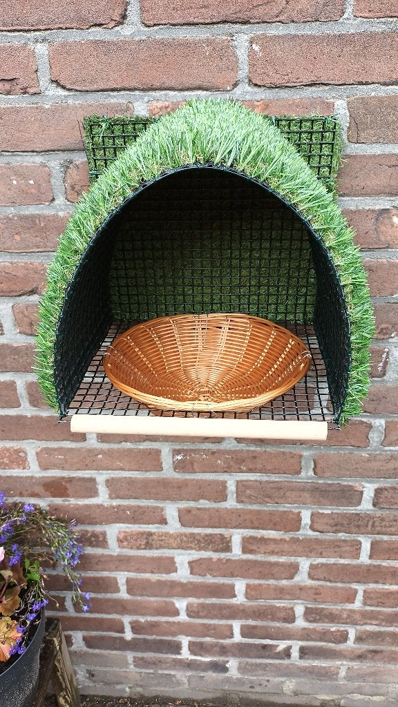 Duiven nestkasten., Meerdere dieren, Overige soorten