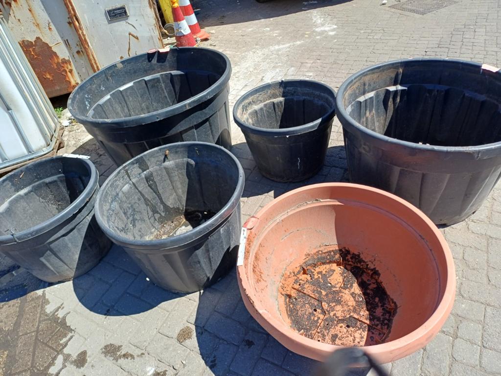 Diverse boomkuipen: 500L, 6x 130L, 285 liter, Ophalen, Kunststof, Gebruikt, 40 cm of meer