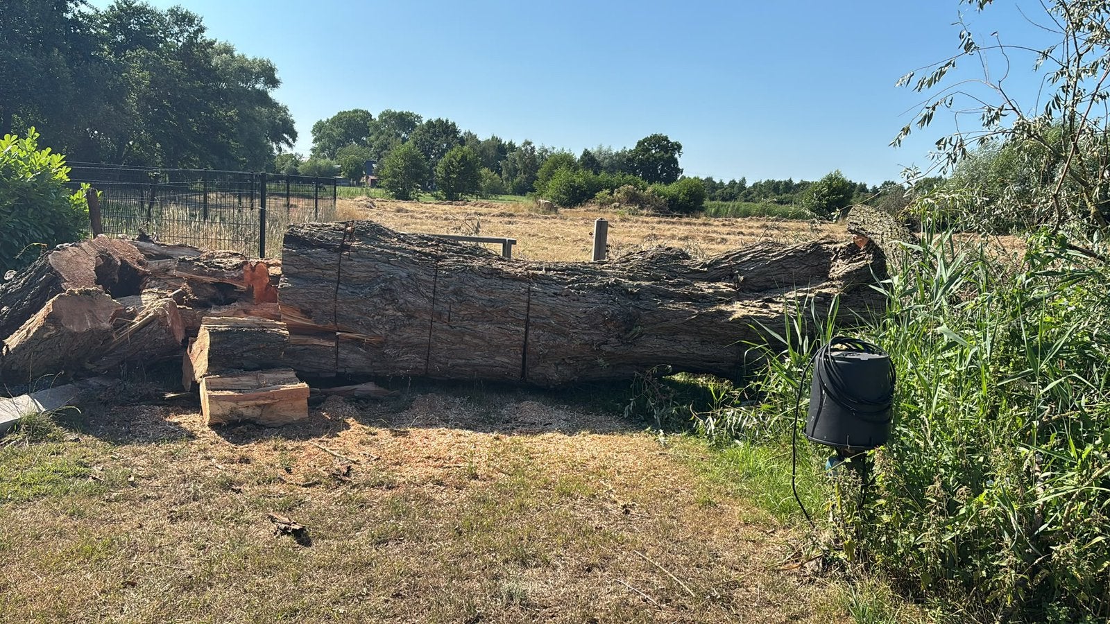Vuurkorf hout wilgenhout, Tuin en Terras, Haardhout, 6 m³ of meer, Ophalen, Overige houtsoorten, Blokken