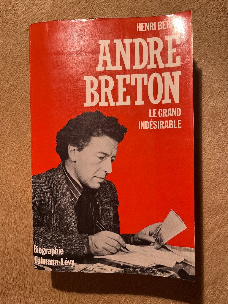 Henri Béhar – André Breton: Le grand indésirable, Gelezen, Kunst en Cultuur, Ophalen of Verzenden, Henri Béhar