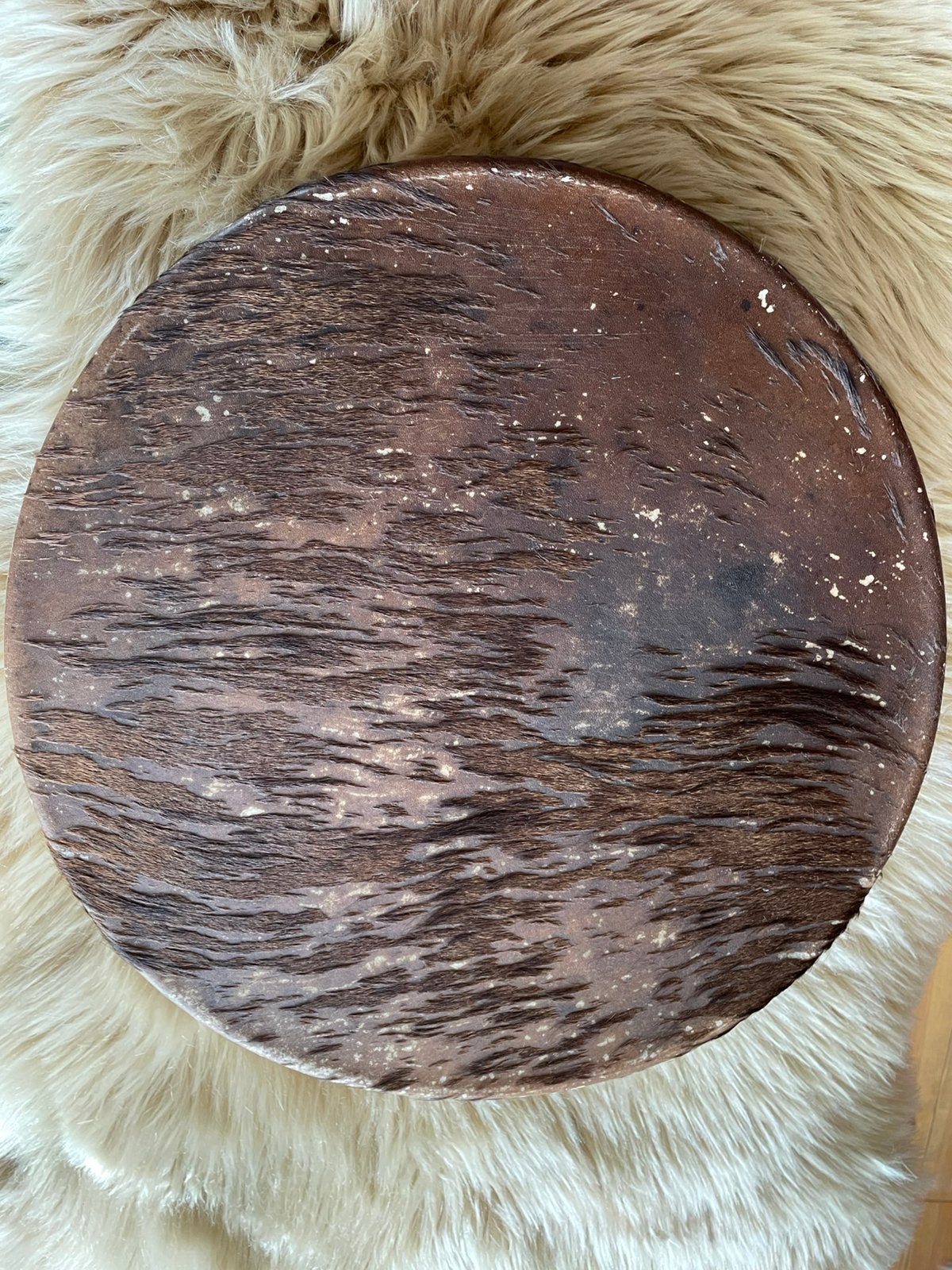 Prachtige Sjamanen Drum - Paard, Ophalen of Verzenden, Zo goed als nieuw, Overige merken