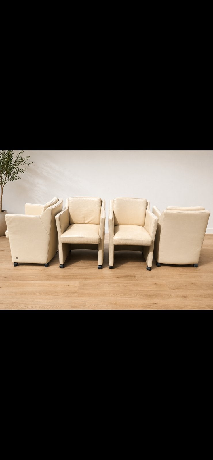 Rolf benz 7100   4 eetkamerstoelen, Ophalen