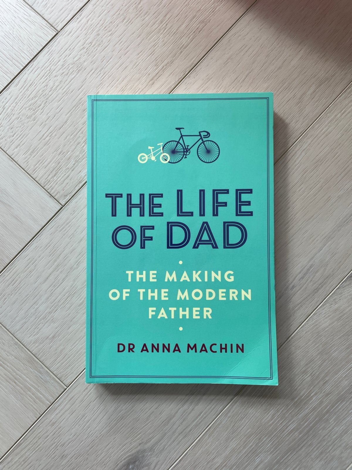 The Life of Dad: The Making of the Modern Father - Dr Anna M, Ophalen of Verzenden, Gelezen, Europa overig
