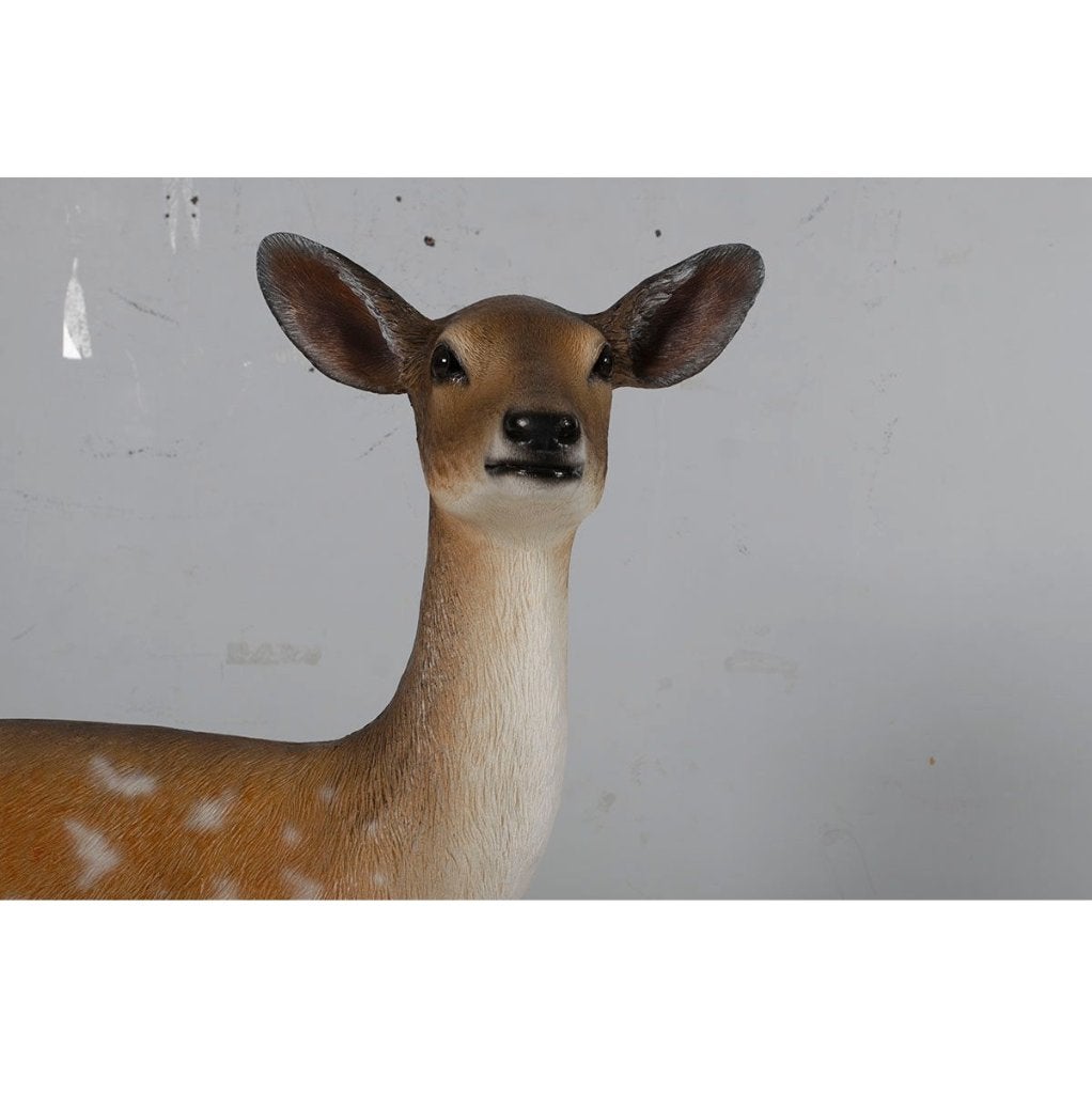 Deer Fallow Doe beeld 117 cm - Hert, Ophalen, Nieuw, Overige soorten, Overige typen