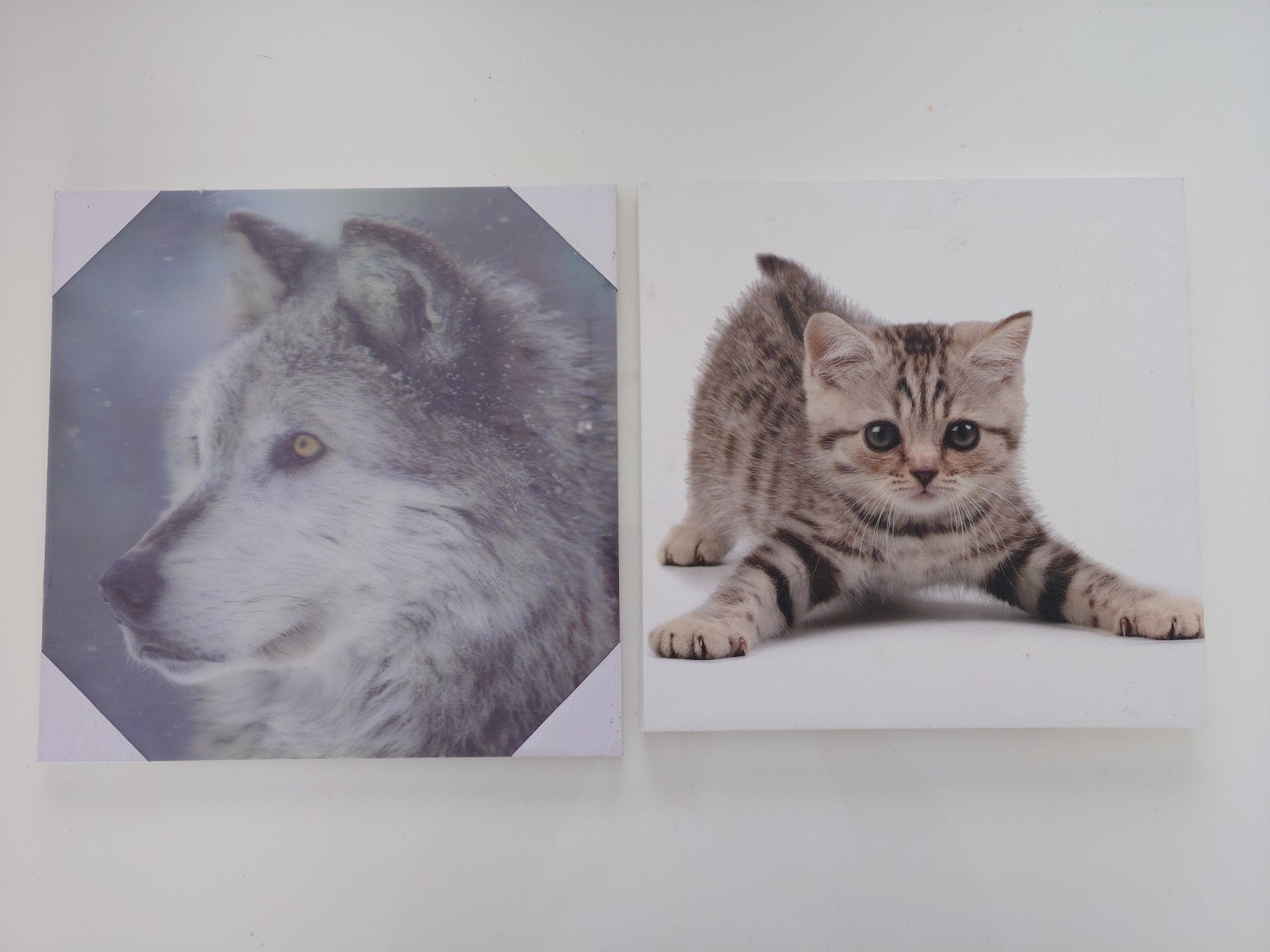 3 IKEA FOTO lijsten + o.a. 3D foto wolf 30x30 cm, Ophalen, Gebruikt, Met ophangsysteem, Fotolijst