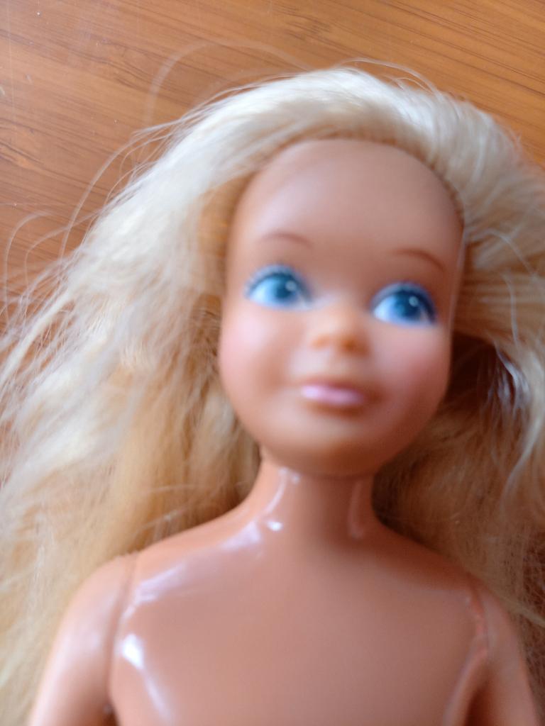 Barbie Skipper vintage, Ophalen of Verzenden, Zo goed als nieuw, Pop