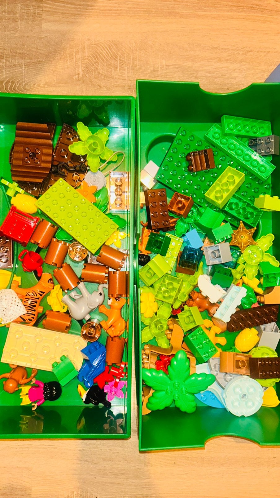 Foto 4 van LEGO DUPLO sets.