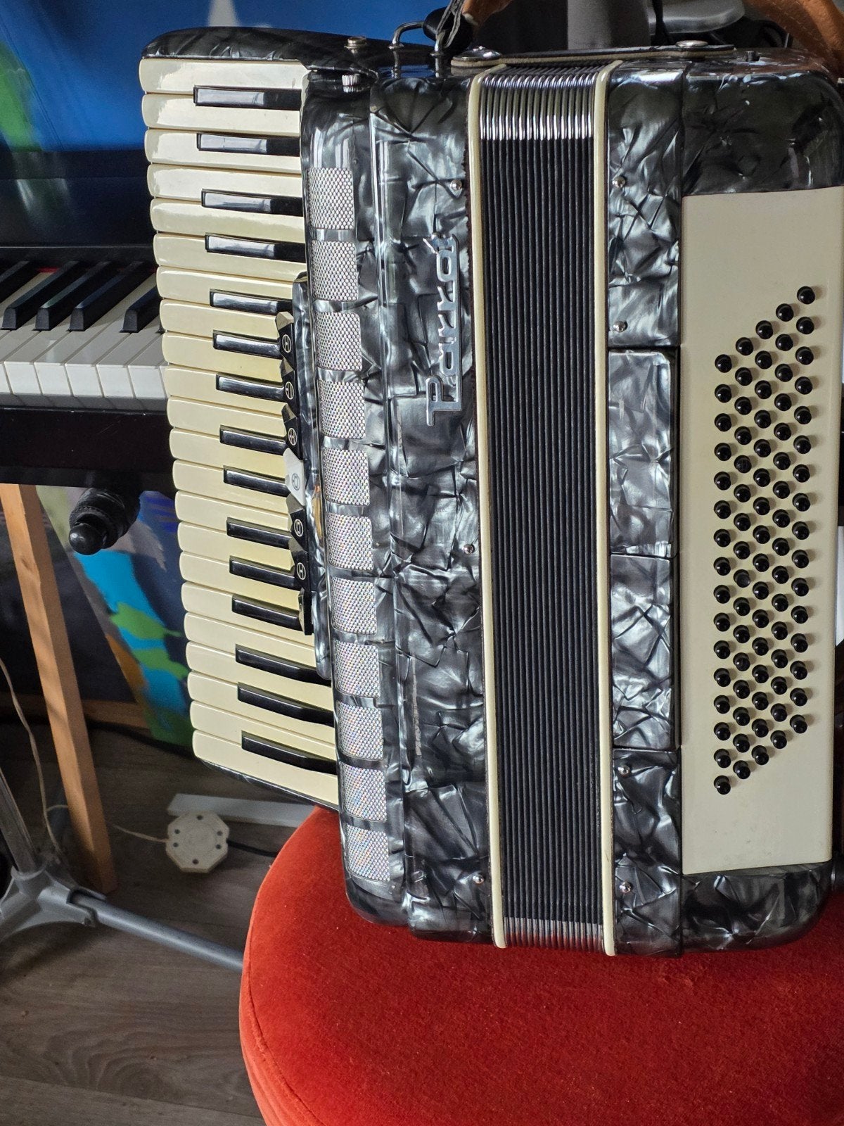 Parrot accordeon, Ophalen of Verzenden, Gebruikt, 80-bas, Overige merken