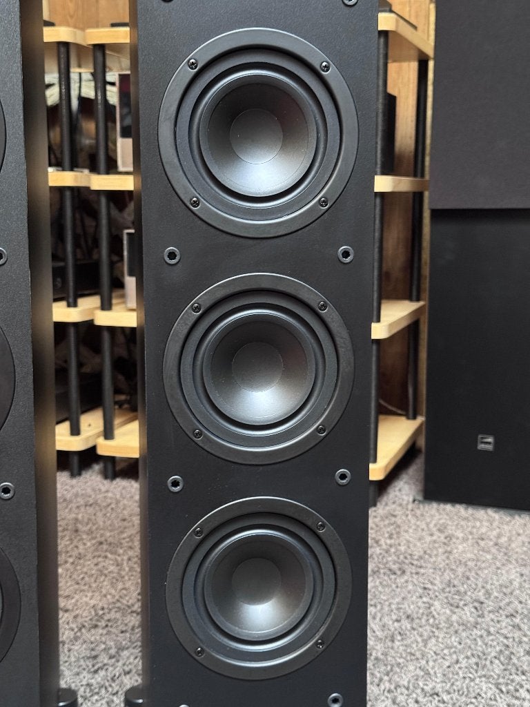 Paradigm SE Monitor 600F, Vloerstaande luidspreker, Gebruikt, 120 tot 150 watt, Ophalen