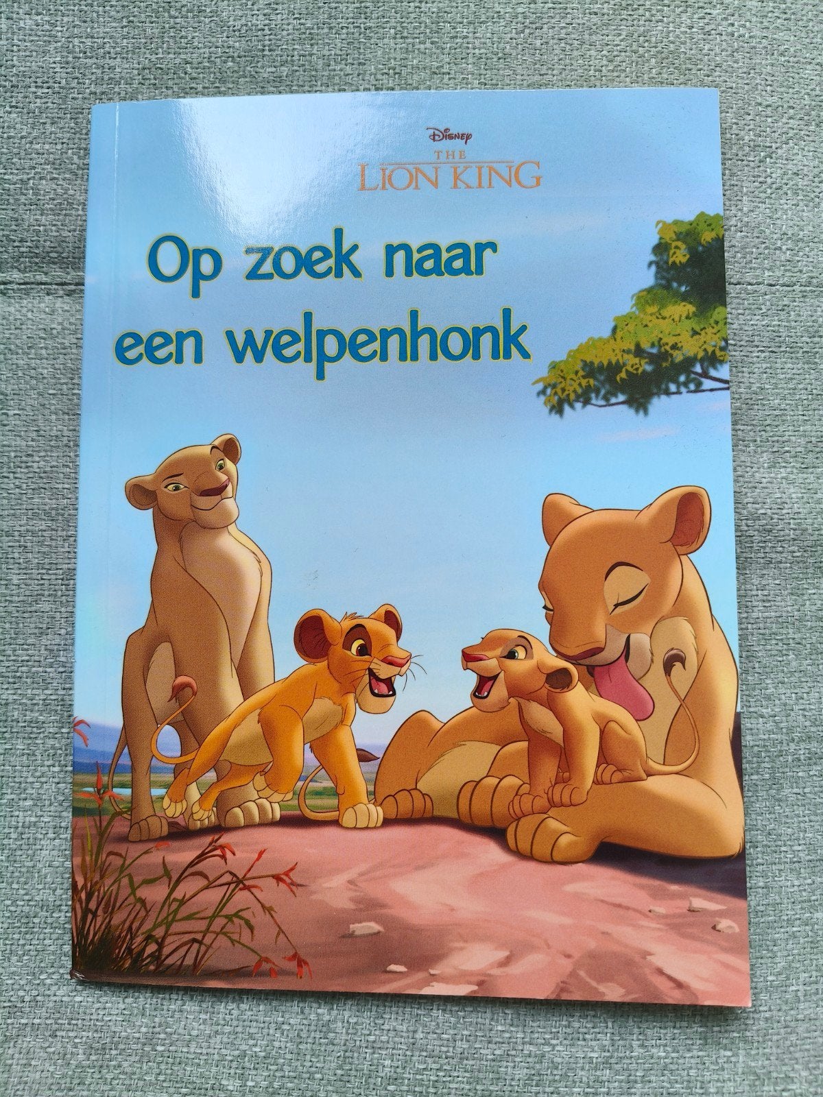 Lion King boekje, Disney, Ophalen of Verzenden, Gelezen