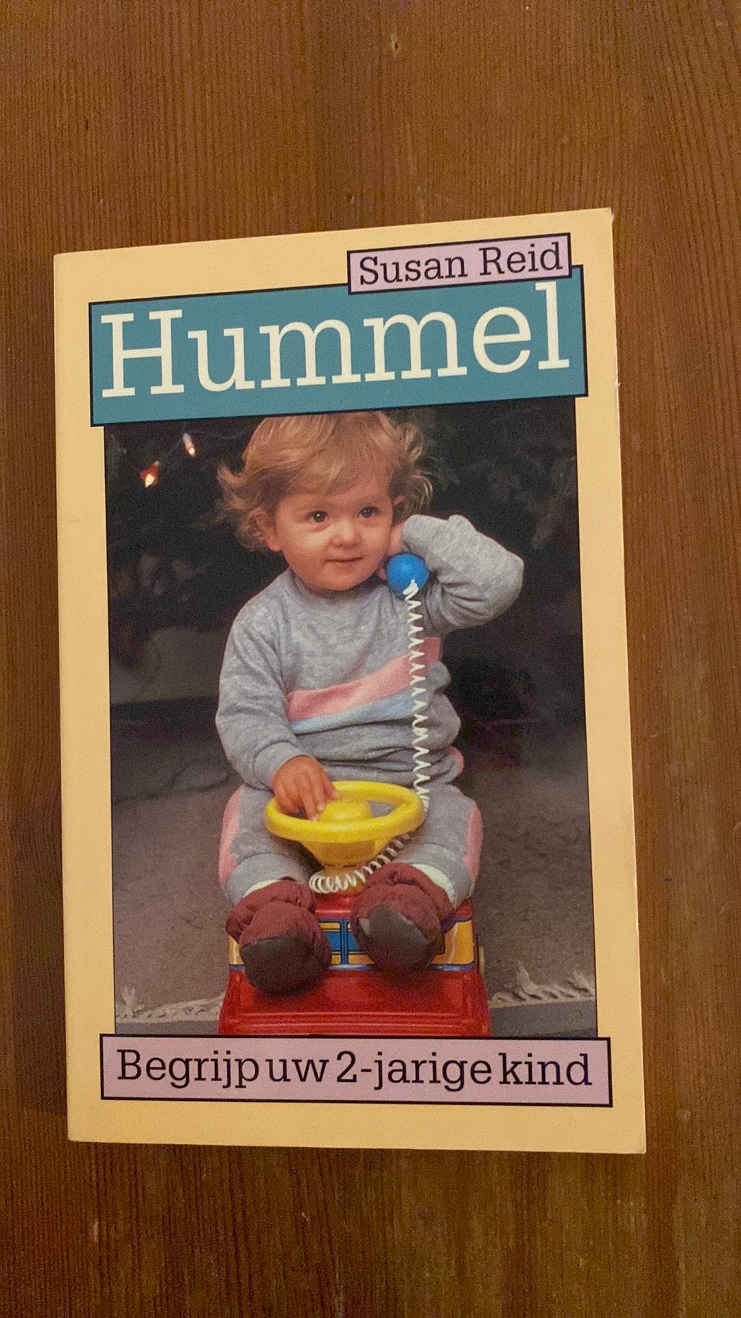 Hummel - begrijp uw 2-jarige kind, Ophalen of Verzenden, Zo goed als nieuw, Non-fictie