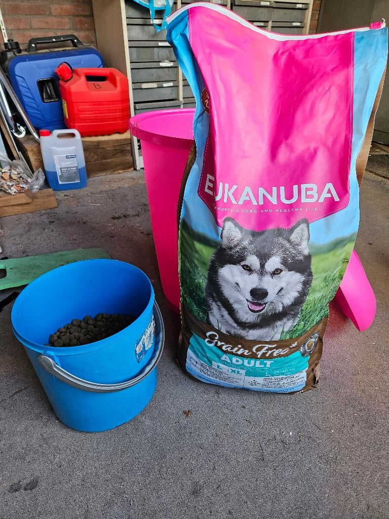 Hondenbrokken, Ophalen of Verzenden, Hond