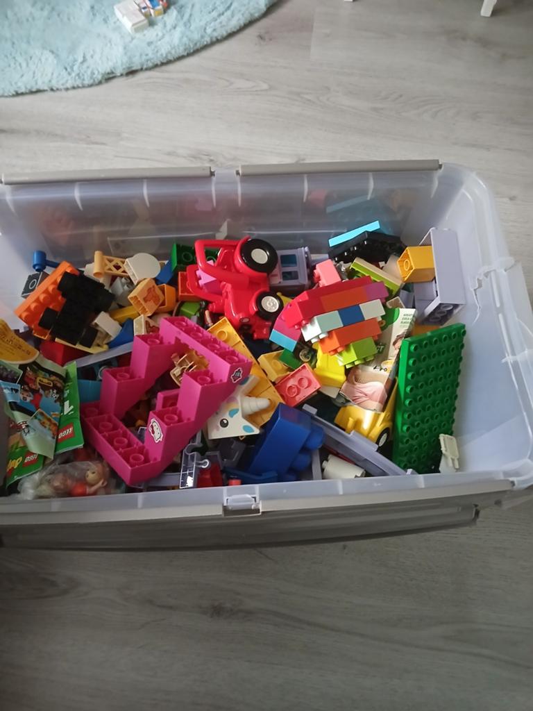 Grote bak met diverse bouwblokken en Lego Duplo, Kinderen en Baby's, Speelgoed | Bouwstenen, Ophalen of Verzenden, Gebruikt, Overige merken