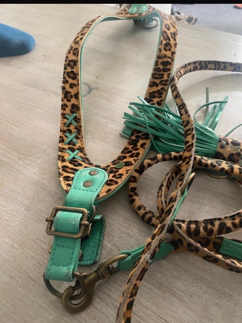 Posh Instaptuigje en riem Dog with a Mission, Dieren en Toebehoren, Ophalen of Verzenden, Zo goed als nieuw