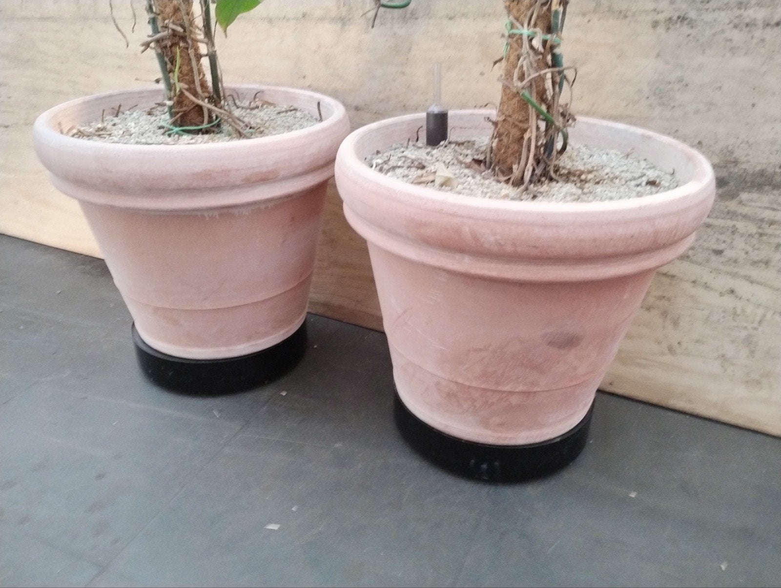 Terracotta bloempotten, Tuin en Terras, Bloempotten, Ophalen, Rond, Minder dan 25 cm, Minder dan 40 cm