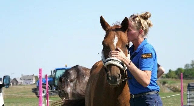 Gezocht: Stalmedewerker omgeving Zwolle