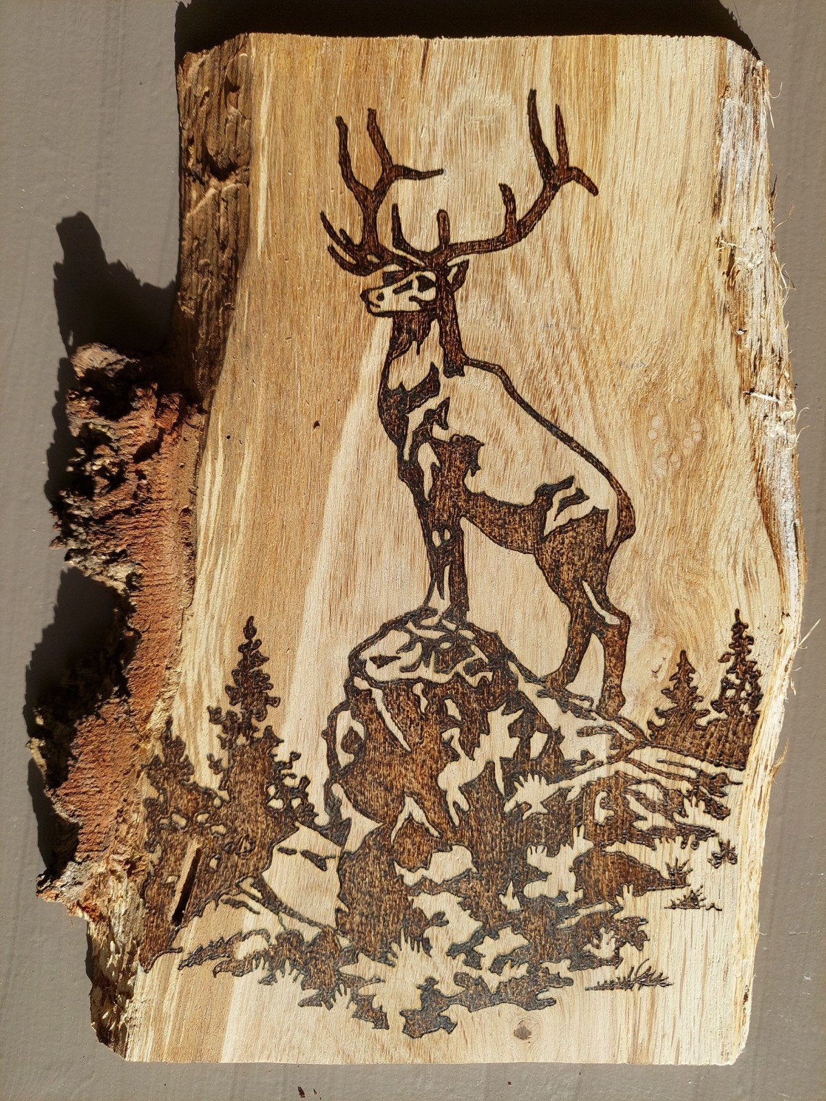 Hert op Hout - Pyrografie Kunstwerk, Ophalen of Verzenden, Nieuw