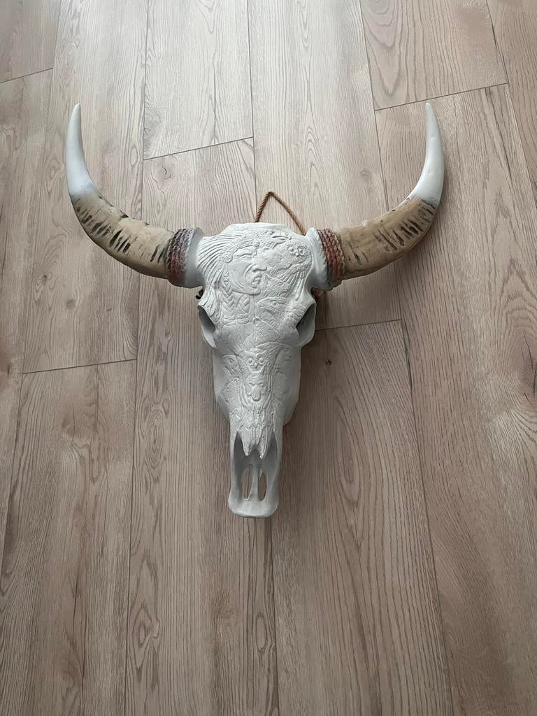 Decoratieve Buffelschedel Wanddecoratie, Ophalen, Gebruikt, Boho, Wit