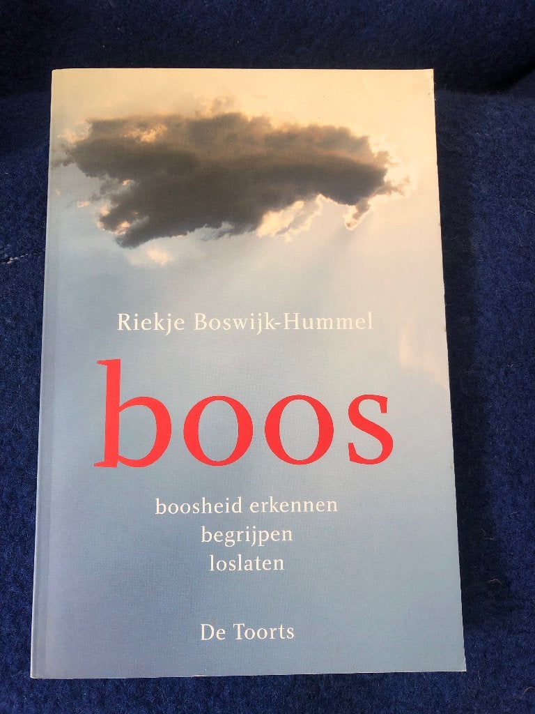 Riekje Boswijk-Hummel.   Boos, Ophalen of Verzenden, Zo goed als nieuw, Riekje Boswijk-Hummel.