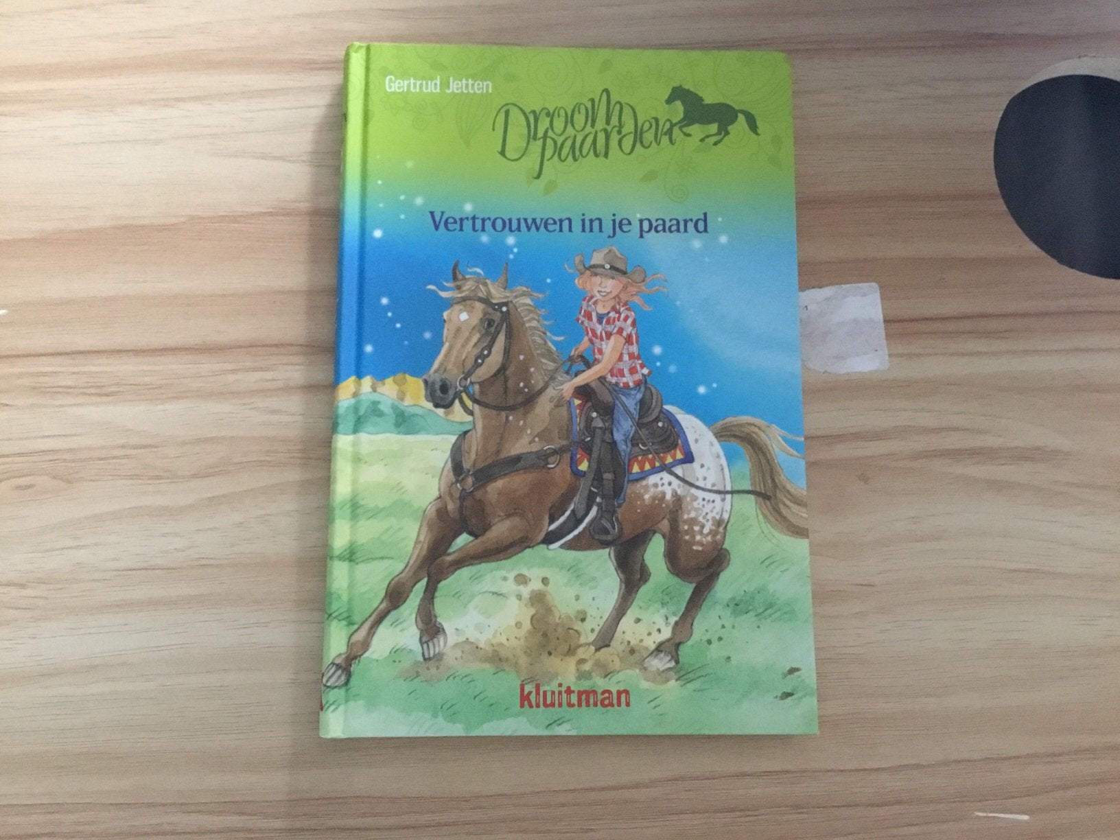 Droompaarden vertrouwen in je paard, Boeken, Ophalen of Verzenden, Zo goed als nieuw, Fictie algemeen