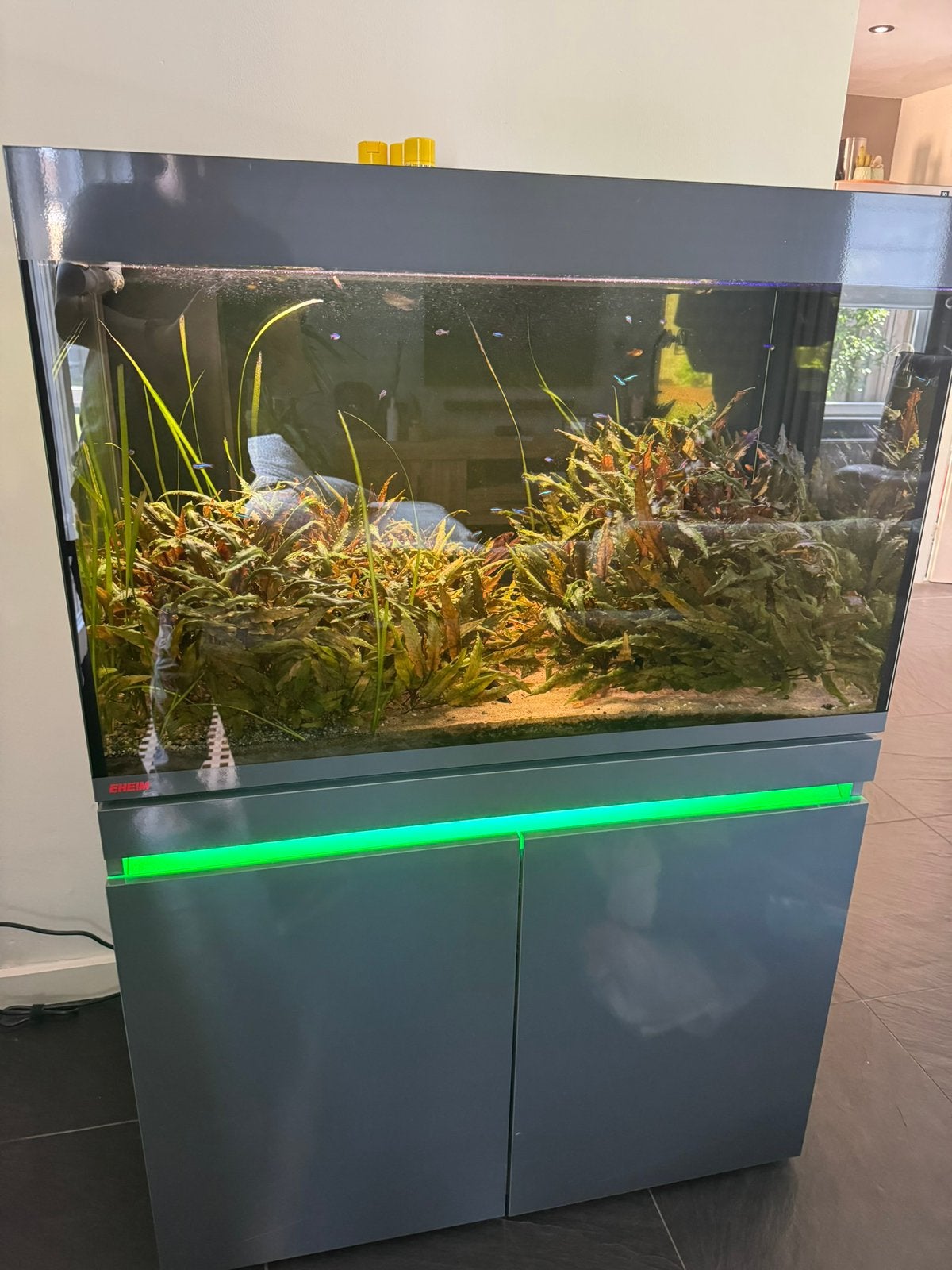 Eheim incperia 330 met of zonder inhoud., Dieren en Toebehoren, Ophalen, Gebruikt, Gevuld zoetwateraquarium, Inclusief vissen