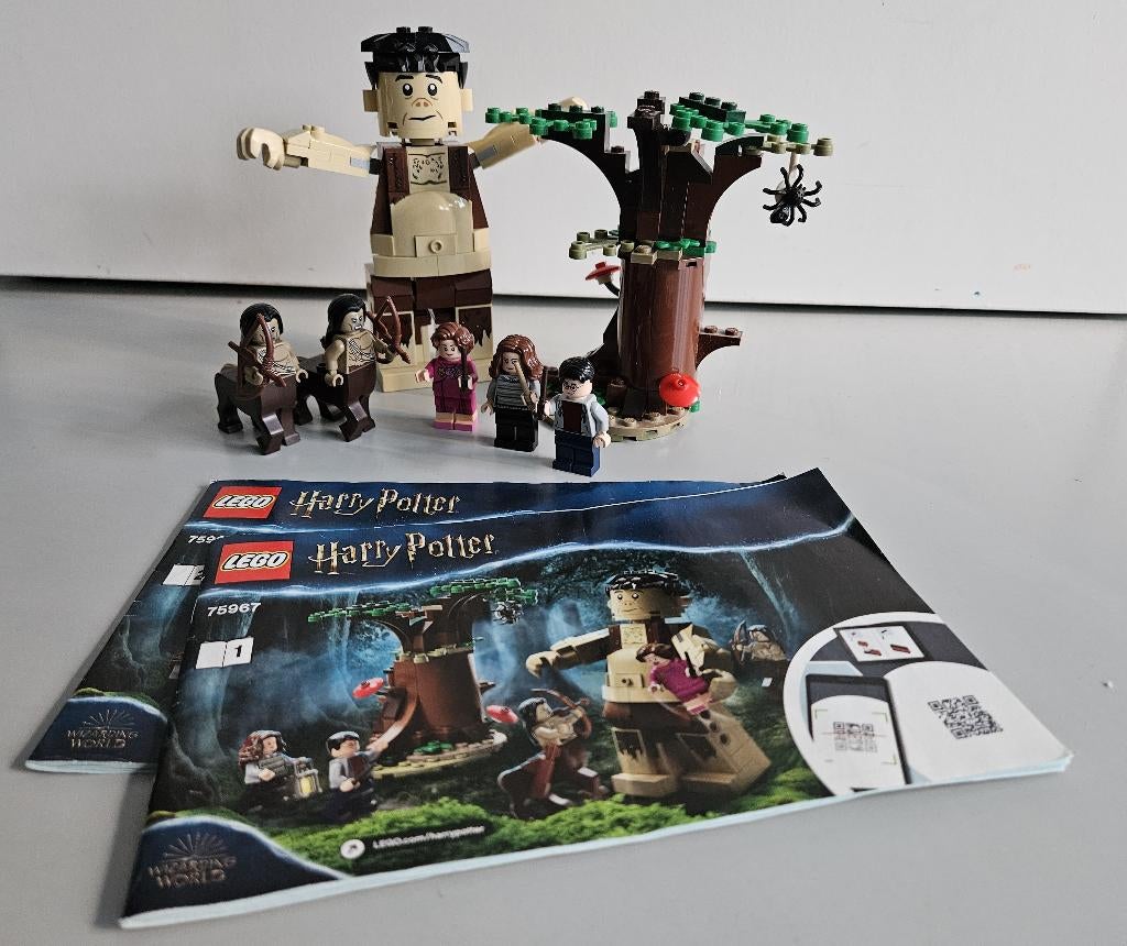 LEGO 75967 Harry Potter – Verboden Bos: Omber’s ontmoeting, Lego, Harry Potter, Ophalen of Verzenden, Complete set