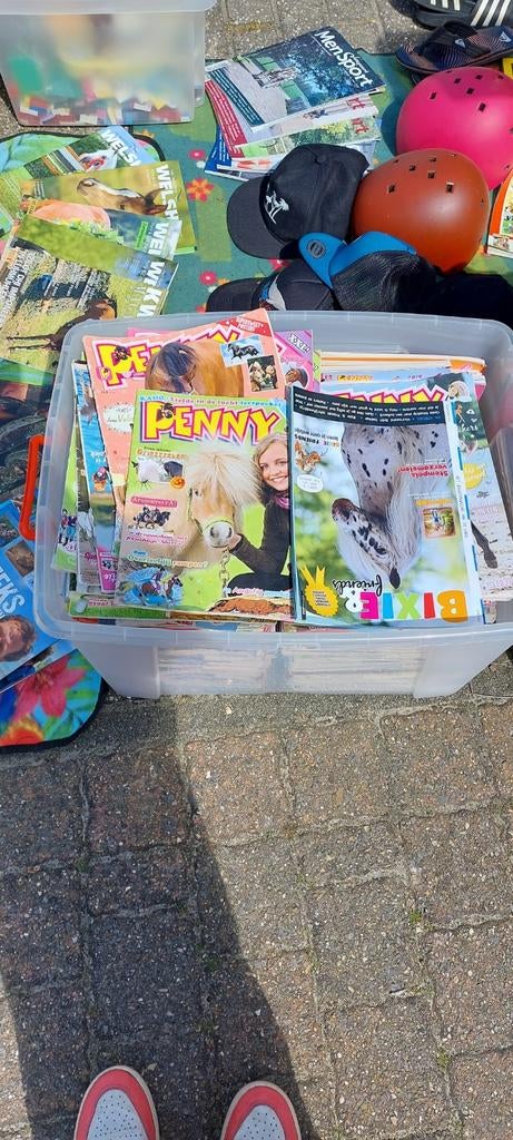 Heel veel leuke penny's, Boeken, Ophalen of Verzenden