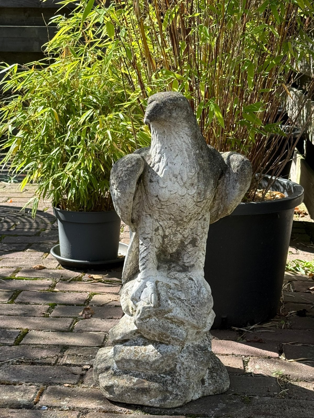 Oud betonnen adelaar beeld - 60 cm hoog, Ophalen, Gebruikt, Beton, Dierenbeeld