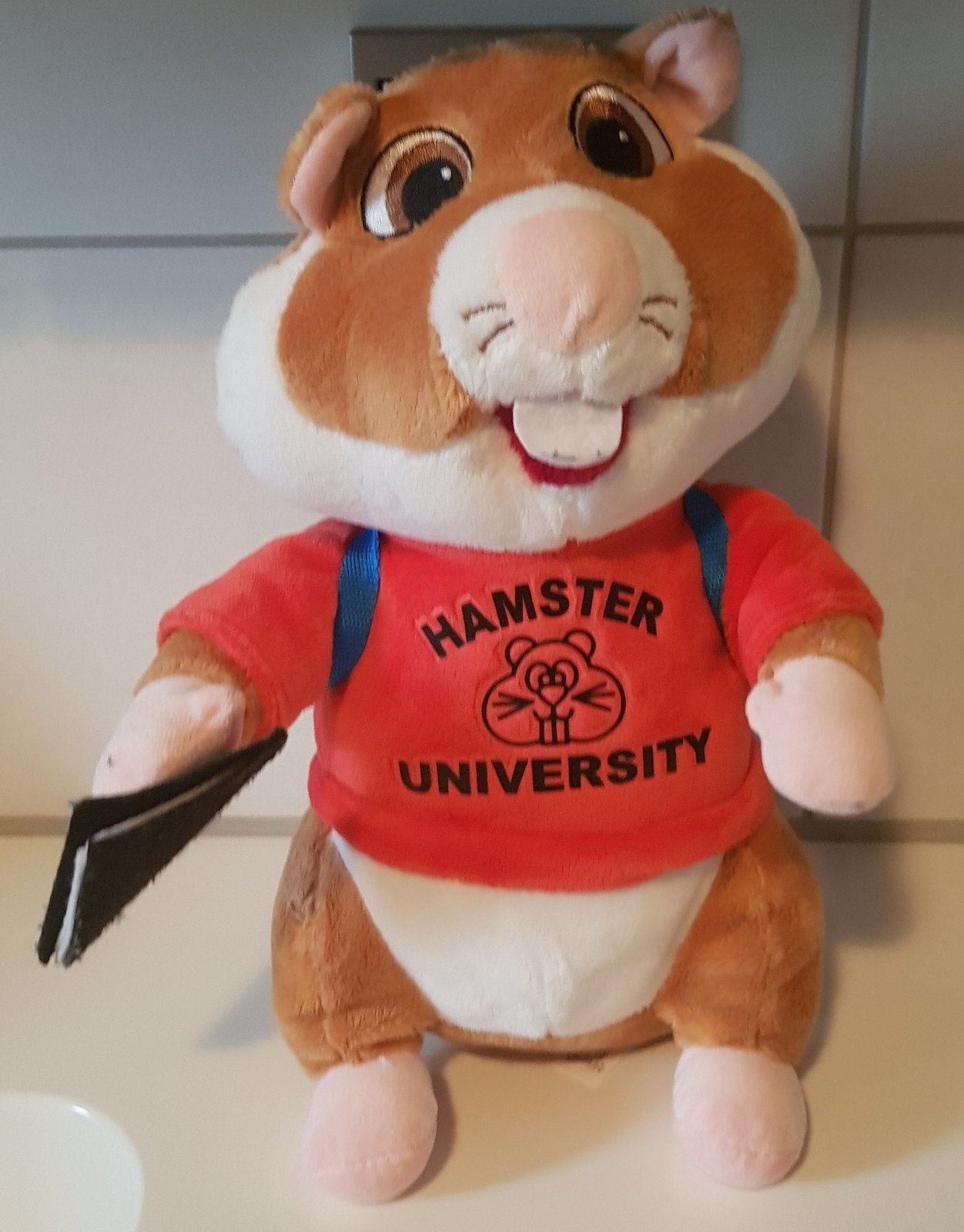 HAMSTER KNUFFEL, Ophalen of Verzenden, Zo goed als nieuw, Overige typen