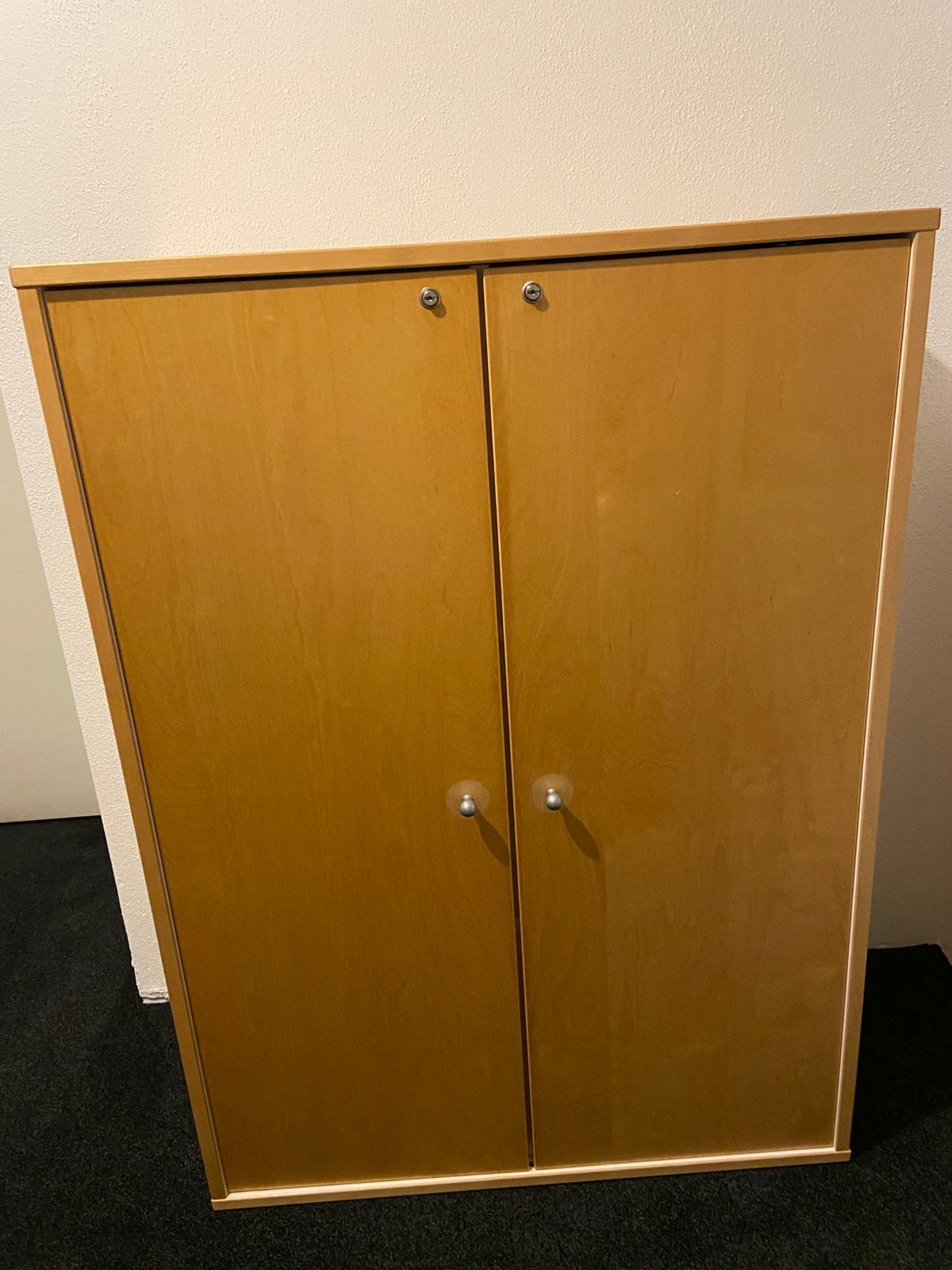 Te koop opberg/archiefkast, Ophalen, Gebruikt, 50 tot 100 cm, Minder dan 100 cm