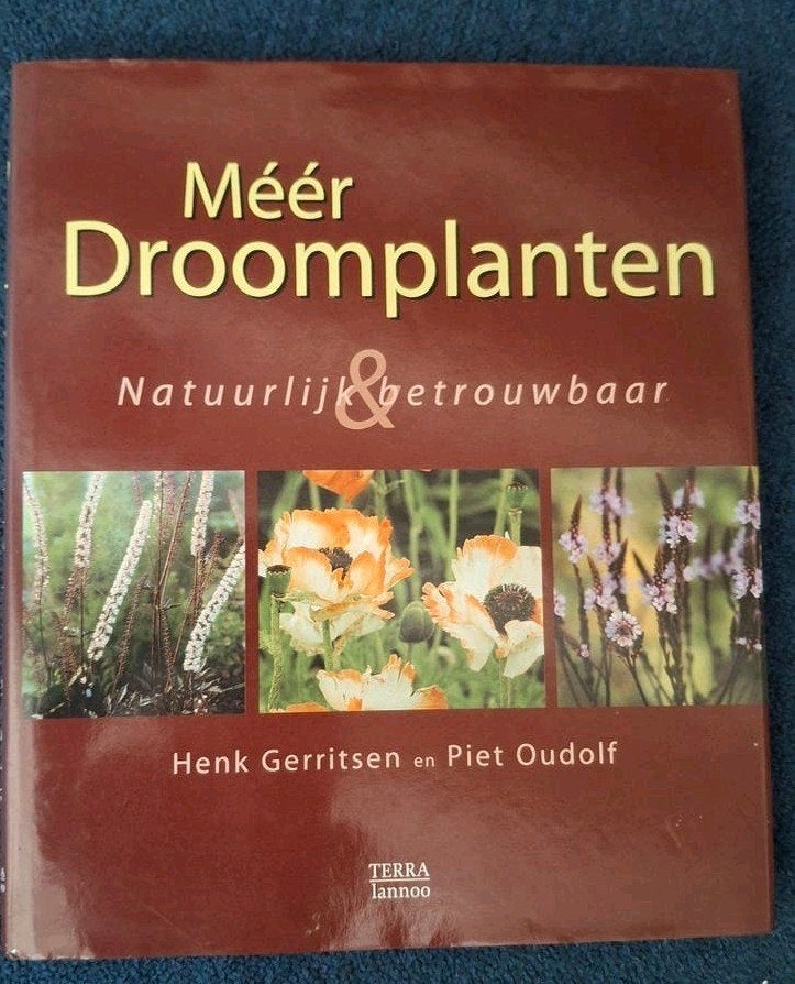 Piet Oudolf en Henk Gerritsen - Meer droomplanten, Boeken, Ophalen of Verzenden, Zo goed als nieuw, H. Gerritsen; Piet Oudolf