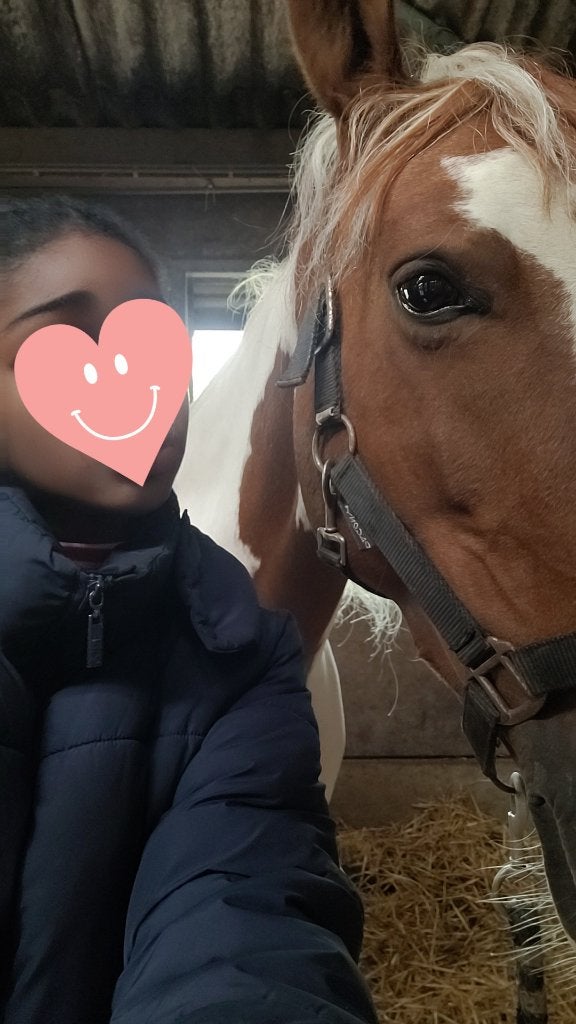 Verzorgpony gezocht/verzorgster aangeboden